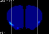 ABA expression energy