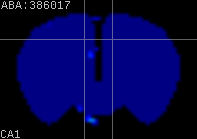 ABA expression energy