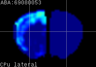 ABA expression energy