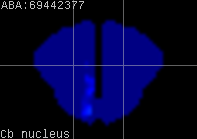 ABA expression energy