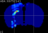 ABA expression energy