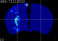 ABA expression energy