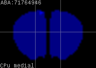 ABA expression energy