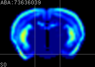 ABA expression energy