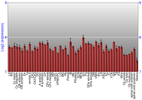 Expression graph