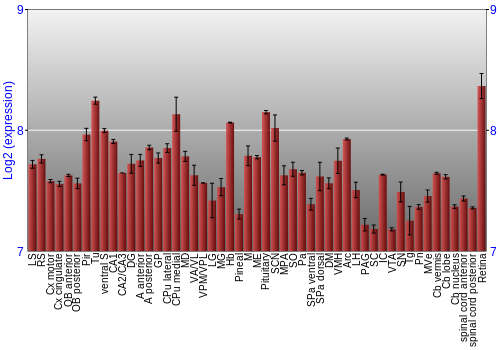 Expression graph