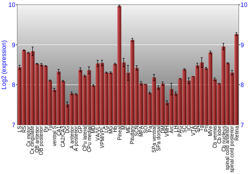 Expression graph