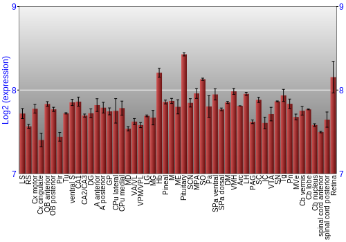 Expression graph