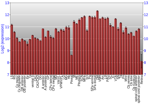 Expression graph