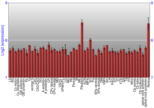 Expression graph