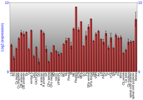 Expression graph