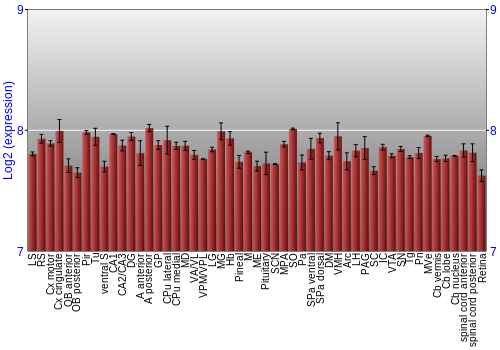 Expression graph