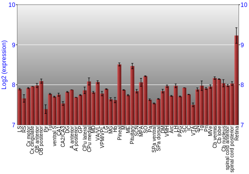 Expression graph