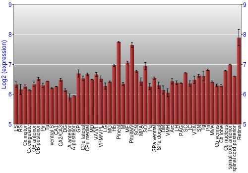 Expression graph