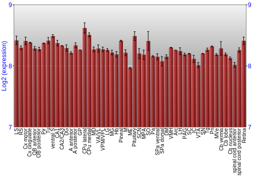 Expression graph