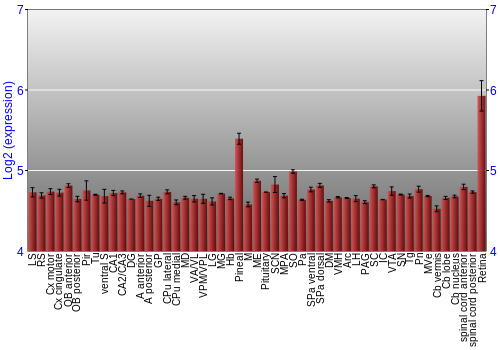 Expression graph
