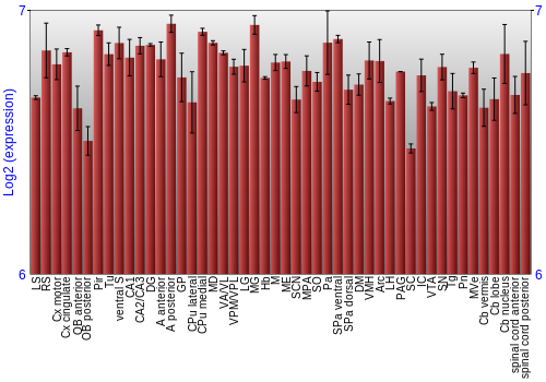 Multi-state expression graph