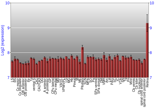 Expression graph