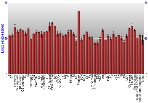 Expression graph