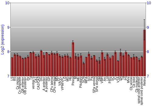 Expression graph