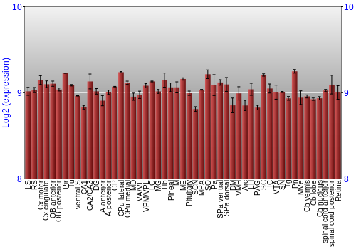 Expression graph