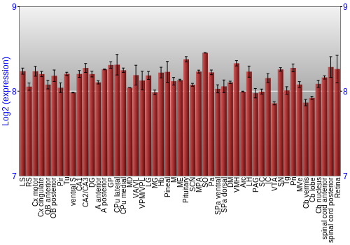 Expression graph