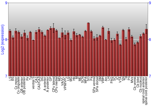 Multi-state expression graph