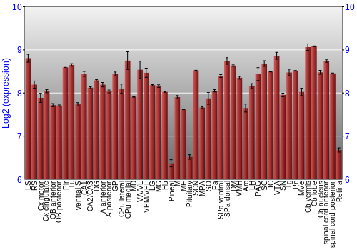 Expression graph