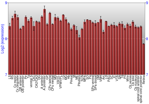 Expression graph
