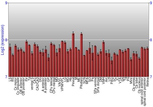 Expression graph