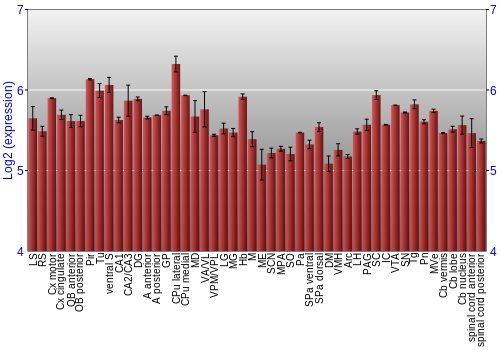 Multi-state expression graph