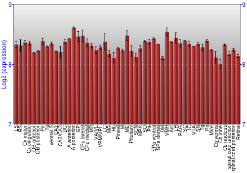 Expression graph