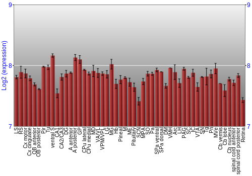 Expression graph