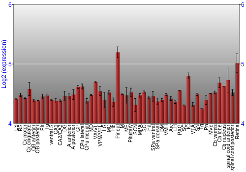 Expression graph