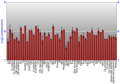 Expression graph