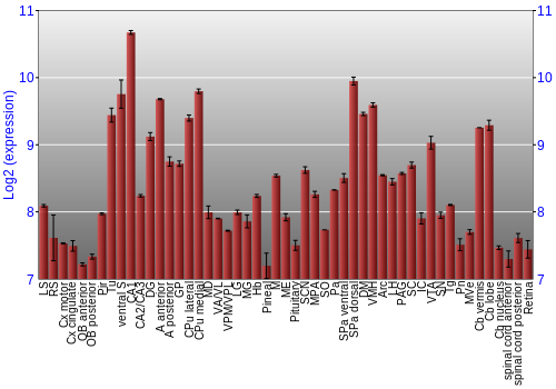 Expression graph