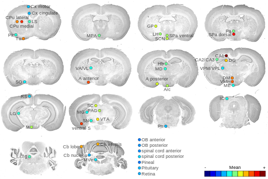 Expression map