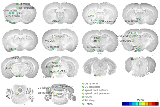 Expression map