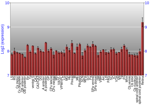 Expression graph