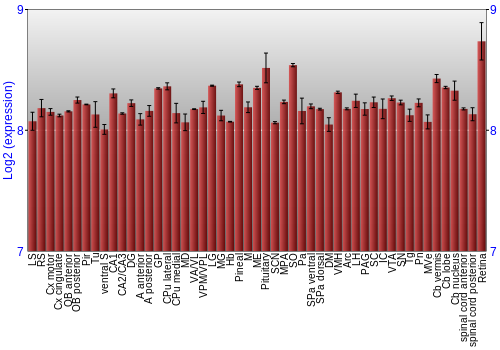 Expression graph