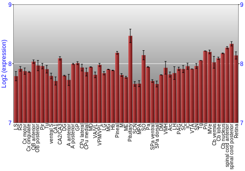 Expression graph