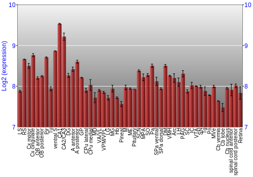 Expression graph