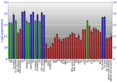 Multi-state expression graph