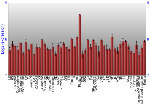 Expression graph