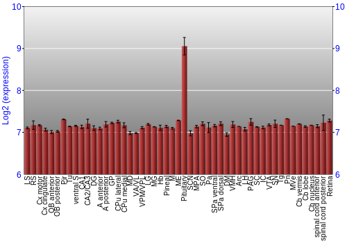 Expression graph