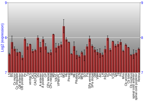 Expression graph