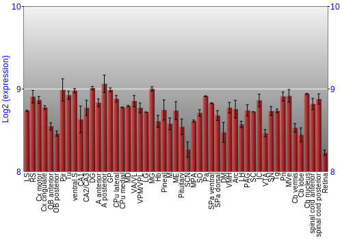 Expression graph