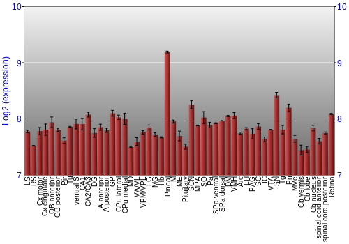 Expression graph