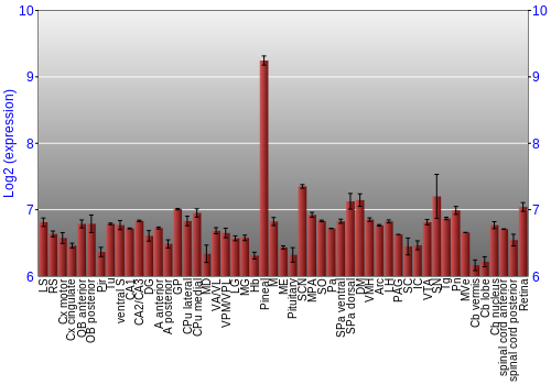 Expression graph