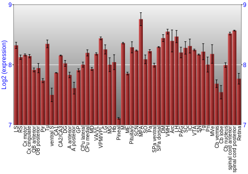 Expression graph